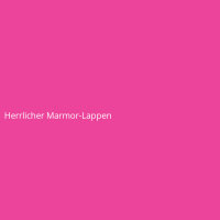 Herrlicher Marmor-Lappen