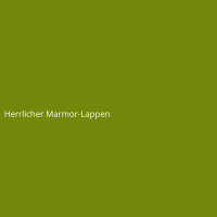 Herrlicher Marmor-Lappen