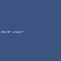 Beliebtes Leder-Bett