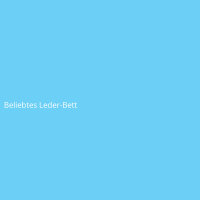 Beliebtes Leder-Bett
